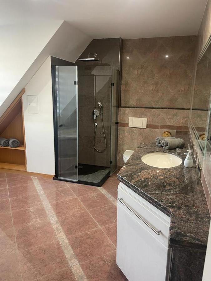 Luxurioese Wohnung Im Herzen Von Rlp Bobenheim-Roxheim Exterior foto